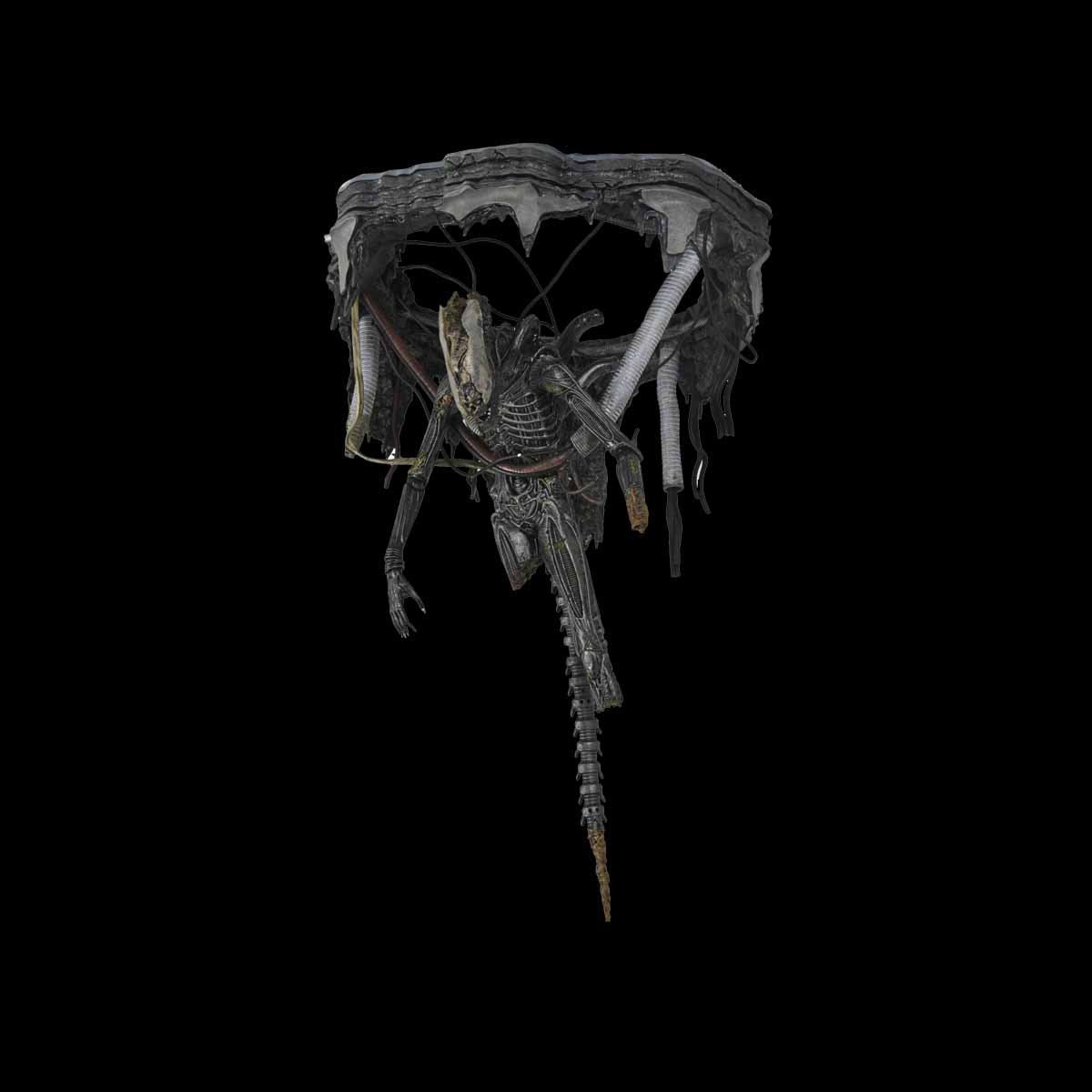 209.1XenomorfoXX121