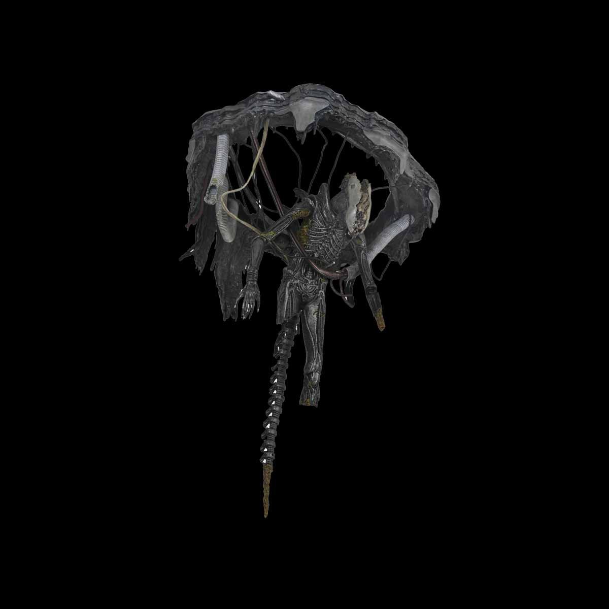 209.2XenomorfoXX121